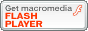 Adobe Flash Player̃CXg[
